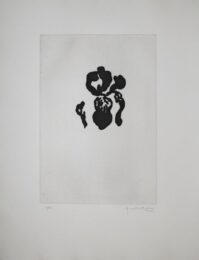 Iris Negre Iv / Black Iris Iv by Joan Hernandez Pijuan at Sylvan Cole Gallery