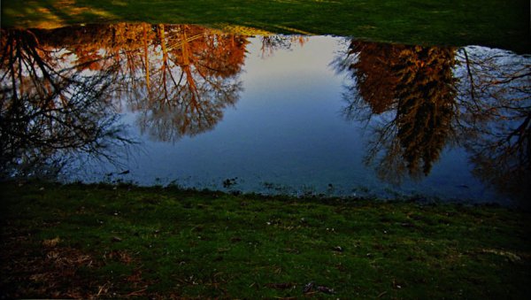 Untitled by Jeremiah Dine