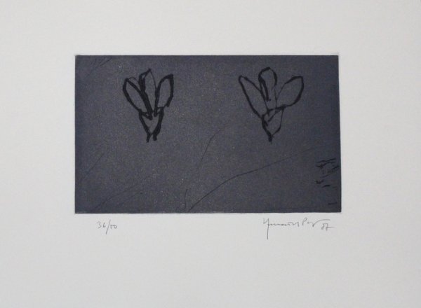 Flors Sobre Gris / Flowers On Gray by Joan Hernandez Pijuan