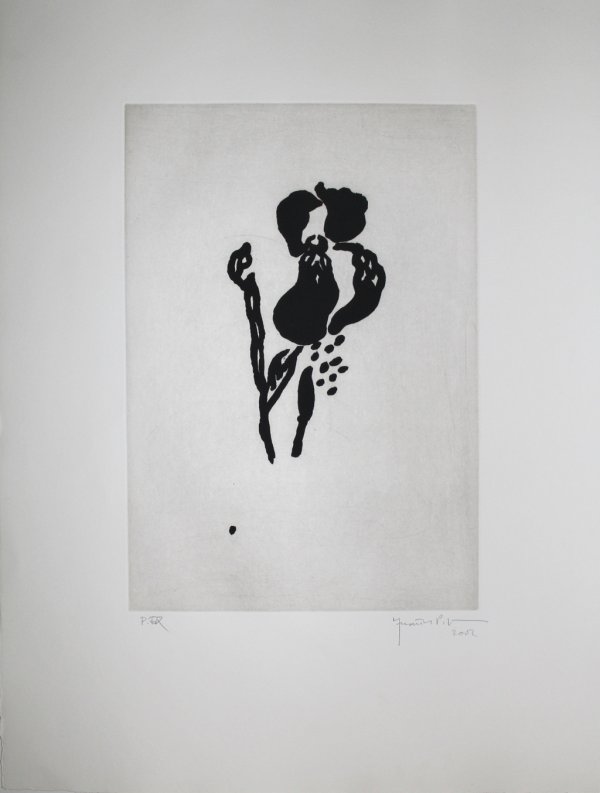 Iris Negre Vi / Black Iris Vi by Joan Hernandez Pijuan