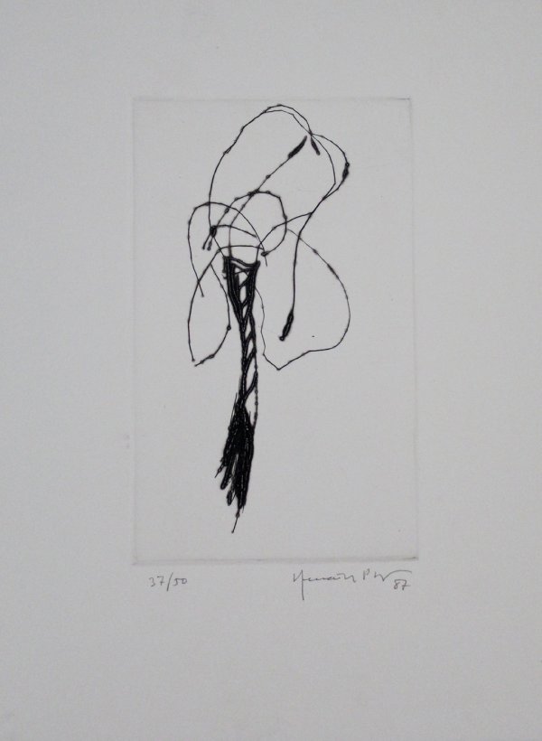Lliri / Lily by Joan Hernandez Pijuan