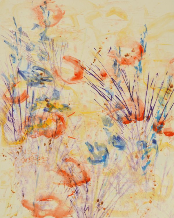 Yampa I by John Thompson
