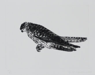Kestrel by Bill Woodrow RA at Royal Academy of Arts