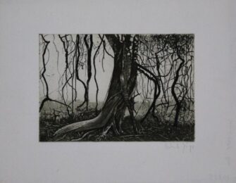 Knorriger Baum / Gnarled Tree by Herbert Jäger at Sylvan Cole Gallery