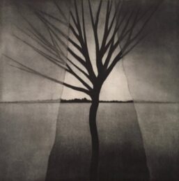 Landscape W Curtains & Crooked Tree by Robert Kipniss at ebo Gallery