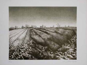 Landschaft by Hans-Jürgen Siegert at Sylvan Cole Gallery