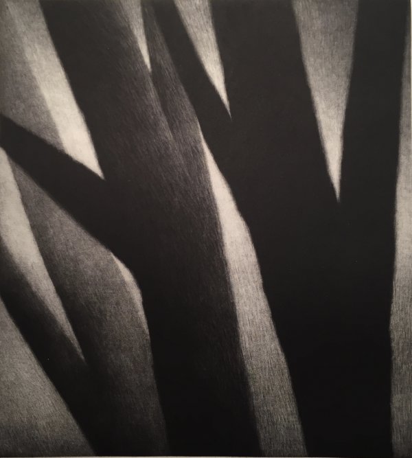 Large Figures At Dusk (Tree Forms) by Robert Kipniss