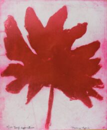 Leaf Apparition by Nancy Azara at VanDeb Editions