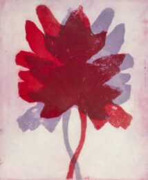 Leaves In Shadow by Nancy Azara at VanDeb Editions