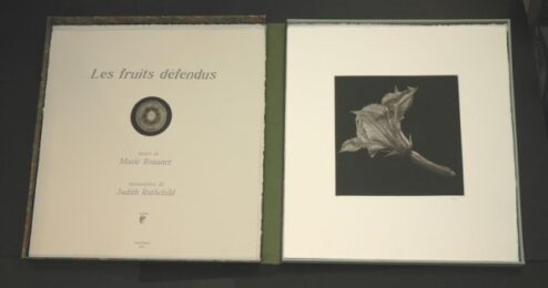 Les Fruits Défendus by Judith Rothchild at Emanuel von Baeyer - Cabinet