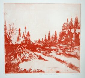 Light Shadows In The Botanics by Calum McClure at Royal Academy of Arts