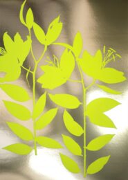 Lilies Of The Field by Charlie Fegan at Royal Academy of Arts