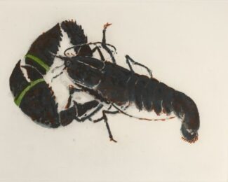 Lobster by Elizabeth Blackadder at Royal Academy of Arts