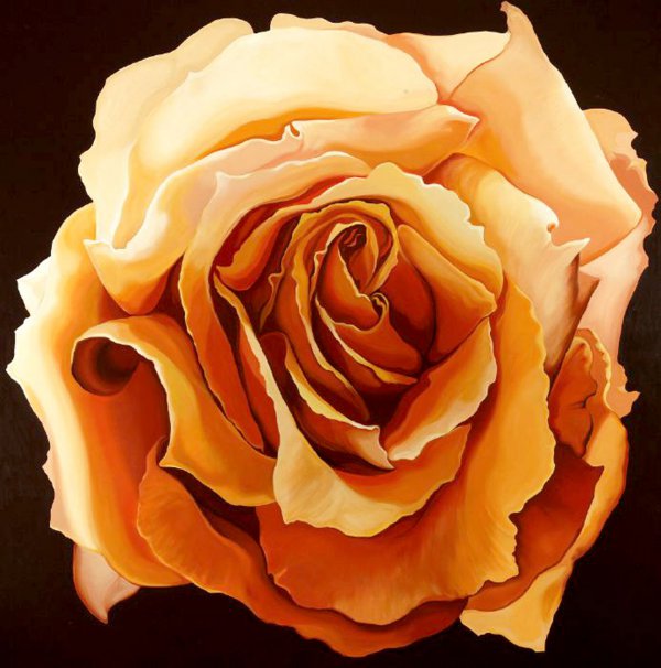 Yellow Rose by Lowell Nesbitt