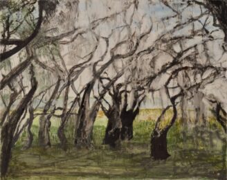 Lower Myakka by Mary Mulhern at Oehme Graphics