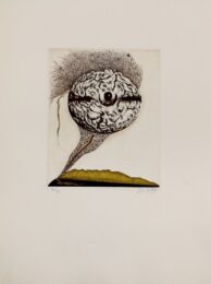 Mabrain by Zush / Evru at Sylvan Cole Gallery