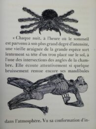 Maldoror (les Chants De Maldoror) by Jacques Houplain at Sylvan Cole Gallery