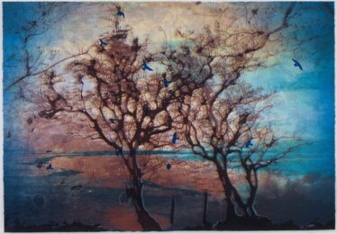 March by Elizabeth Magill at Manifold Editions