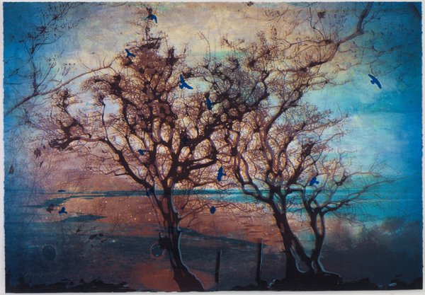 March by Elizabeth Magill