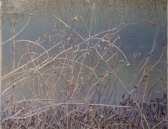 Marsh Grass by Jean Gumpper at ebo Gallery