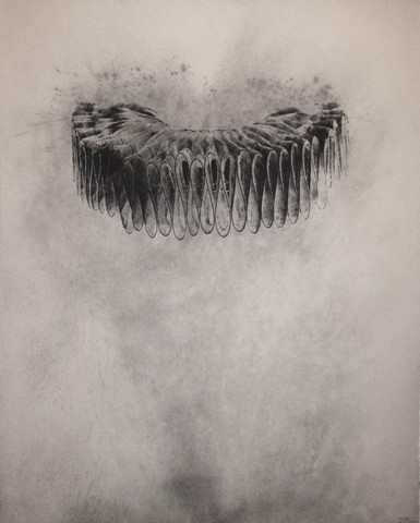 Ruff by Matt Neff