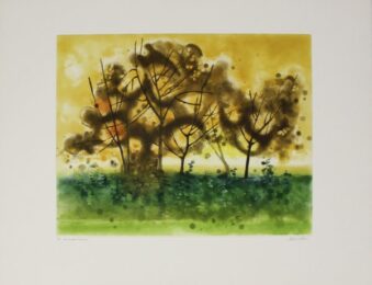 Meadowland by Anne Walker at Sylvan Cole Gallery