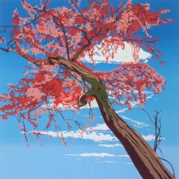 Meditation In Red by Jonathan Purday at Eyestorm