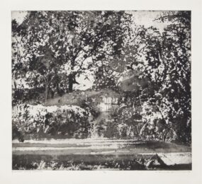 Midsummer Morning, Charleston by Norman Ackroyd at Royal Academy of Arts