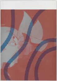 Mixed Feelings by Isabelle Cornaro at ICA