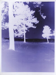 Moonlight by Erik Steffensen at Peter Harrington Gallery