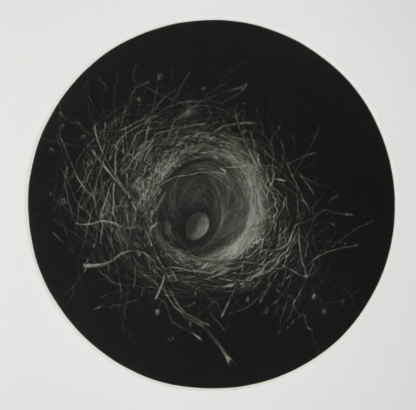 Nid Trouvé by Judith Rothchild