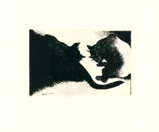 Nightcats by Bernd Rose at Sylvan Cole Gallery