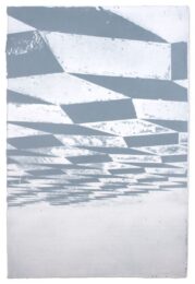 Ny Review Of Books 2, Up by Kate Shepherd at Krakow Witkin Gallery