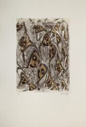 Omolas by Zush / Evru at Sylvan Cole Gallery