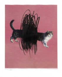 One Or Two Cats by Charming Baker at Paul Stolper Gallery