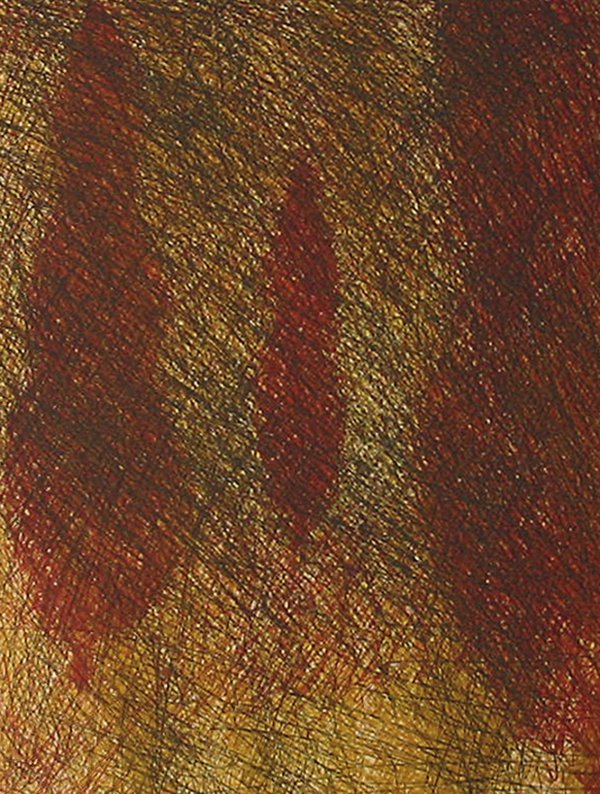 Orinoco 1 by Marjorie Van Dyke