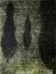 Orinoco by Marjorie Van Dyke at VanDeb Editions