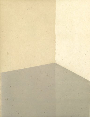 Without Title by Paul Pfeiffer