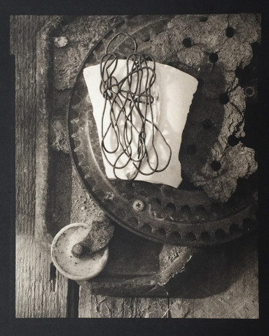 Savannah Still Life by Paul Rider