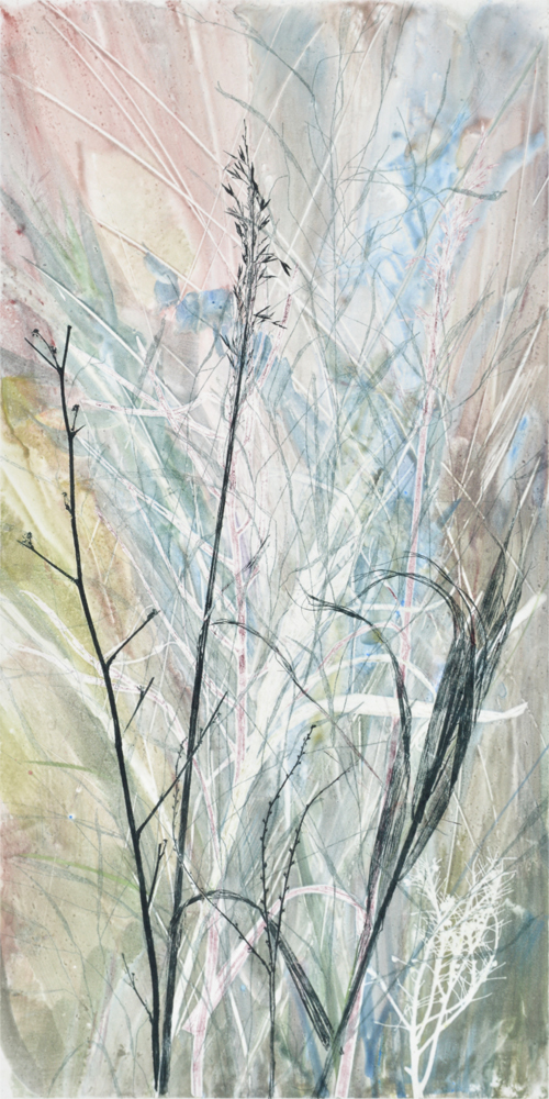 Field’s Edge 20 by Paula Zinsmeister