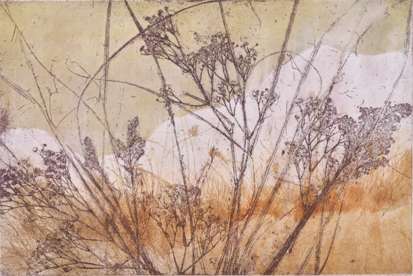Field’s Edge 3 by Paula Zinsmeister