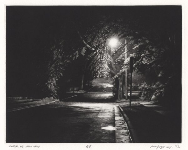 Foster Avenue Nocturne by Peter Jogo