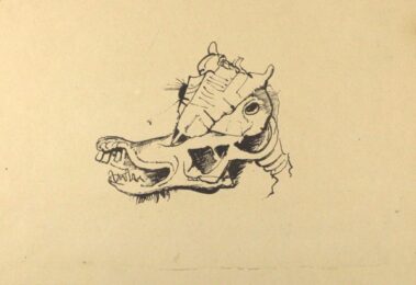 Pferdeschädel / Horse Skull by Karl Hofer at Sylvan Cole Gallery