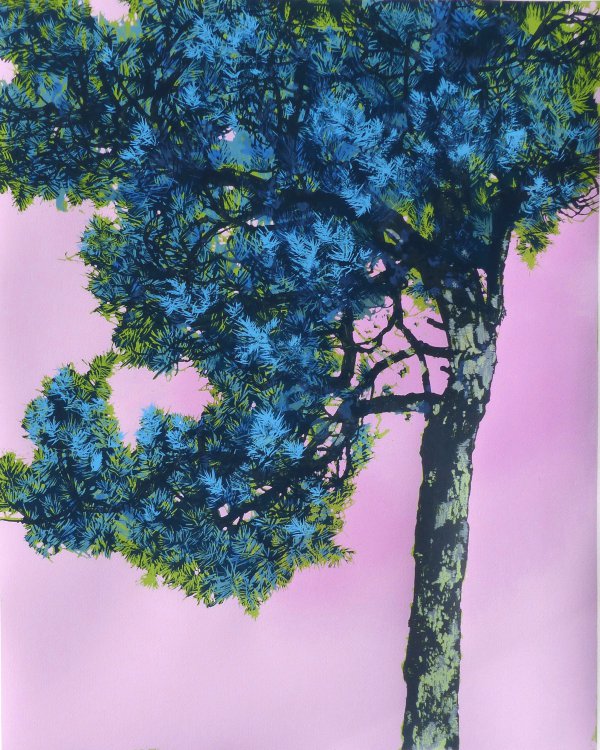 Pine by Henrik Simonsen