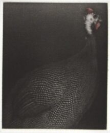 Pintade i by Mikio Watanabe at ebo Gallery