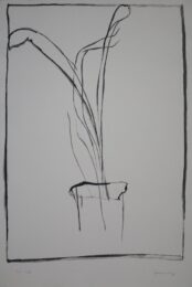 Planta De Saló 1 by Joan Hernandez Pijuan at Sylvan Cole Gallery