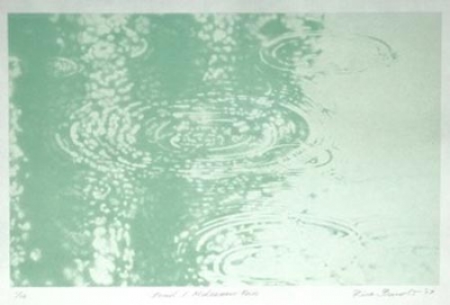 Pond / Midsummer Rain by Rica Bando