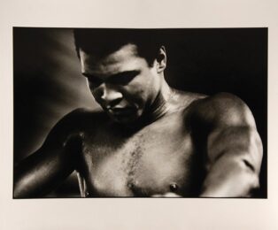 Portrait III by David King at Peter Harrington Gallery