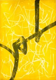 Promise In Indian Yellow by Kumi Korf at VanDeb Editions