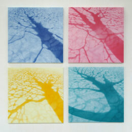 Prospect Park Trees by Rica Bando at ebo Gallery